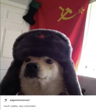 Rekarz