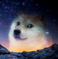 Toastyhealz